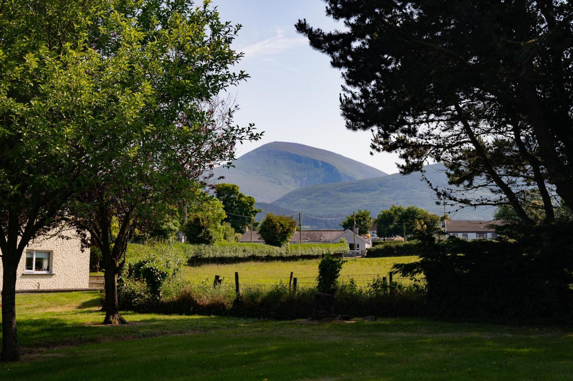 The Briers Country House نيوكاسل المظهر الخارجي الصورة